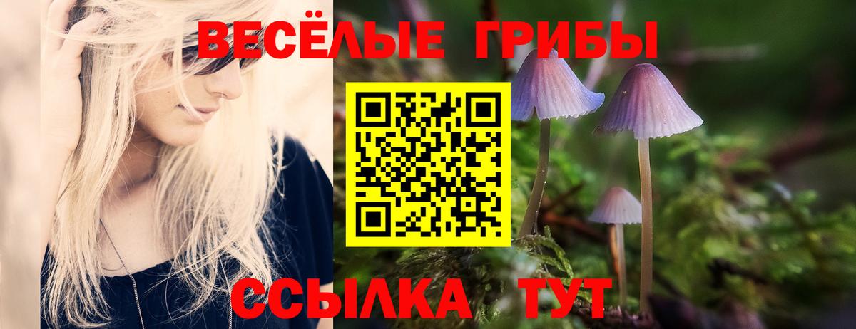 Псилоцибиновые грибы Cubensis Канск