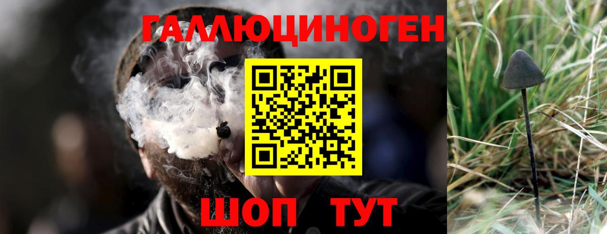 купить закладку  Галлюциногенные грибы Psilocybe  Вход с VPN  Канск 