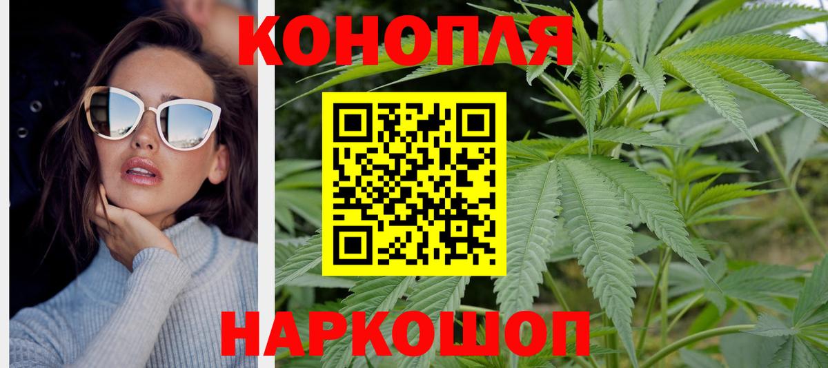 Каннабис сатива  Бошки марихуана планчик  Вход с VPN  Бошки Шишки семена  Канабис VHQ  Канск 